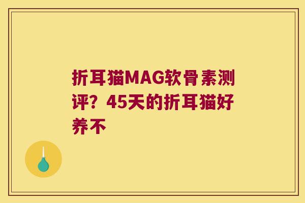折耳猫MAG软骨素测评?45天的折耳猫好养不 折耳猫MAG软骨素测评?45天的折耳猫好养不