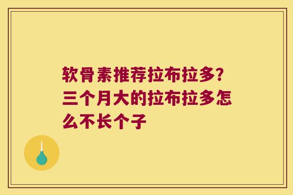 软骨素推荐拉布拉多？三个月大的拉布拉多怎么不长个子