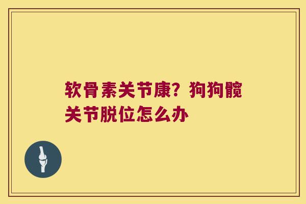 软骨素关节康?狗狗髋关节脱位怎么办 软骨素关节康?狗狗髋关节脱位怎么办