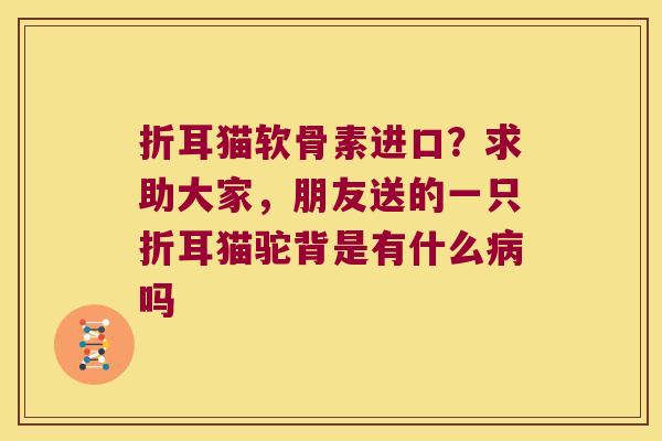 折耳猫软骨素进口？求助大家，朋友送的一只折耳猫驼背是有什么吗