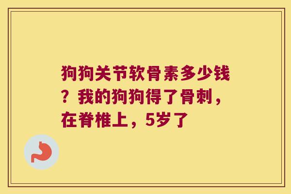 狗狗关节软骨素多少钱？我的狗狗得了，在脊椎上，5岁了