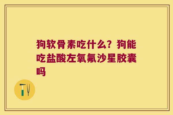 狗软骨素吃什么?狗能吃盐酸左氧氟沙星胶囊吗 狗软骨素吃什么?狗能吃盐酸左氧氟沙星胶囊吗