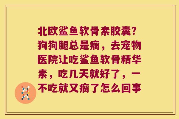 北欧鲨鱼软骨素胶囊？狗狗腿总是瘸，去宠物医院让吃鲨鱼软骨精华素，吃几天就好了，一不吃就又瘸了怎么回事