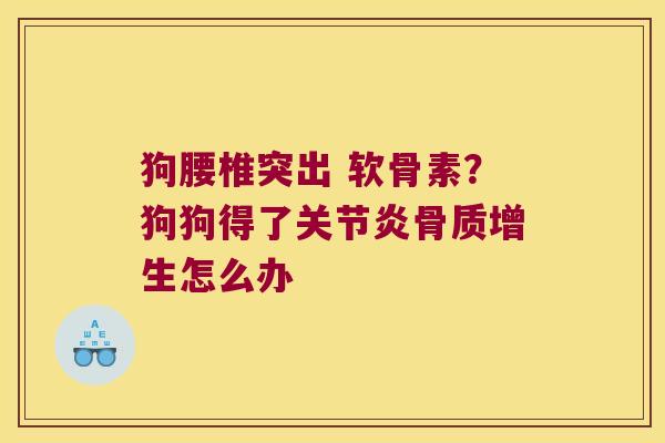 狗腰椎突出 软骨素?狗狗得了怎么办 狗腰椎突出 软骨素?狗狗得了怎么办