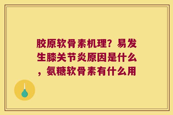 胶原软骨素机理?易发生膝原因是什么,氨糖软骨素有什么用 胶原软骨素机理?易发生膝原因是什么,氨糖软骨素有什么用