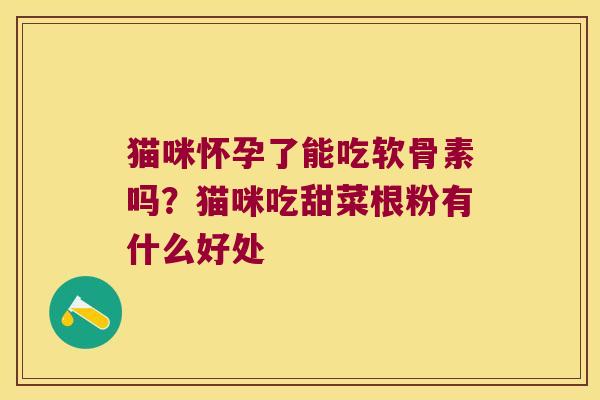 猫咪怀孕了能吃软骨素吗？猫咪吃甜菜根粉有什么好处