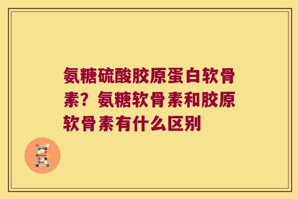 氨糖硫酸胶原蛋白软骨素？氨糖软骨素和胶原软骨素有什么区别