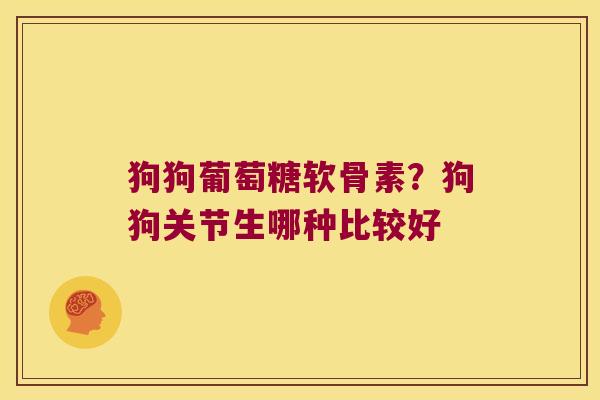 狗狗葡萄糖软骨素？狗狗关节生哪种比较好