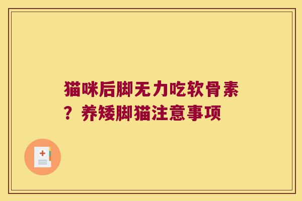 猫咪后脚无力吃软骨素？养矮脚猫注意事项