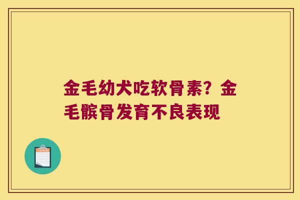 金毛幼犬吃软骨素？金毛髌骨发育不良表现