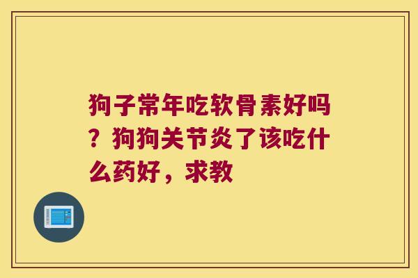 狗子常年吃软骨素好吗？狗狗了该吃什么药好，求教