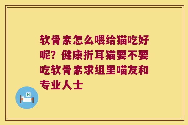 软骨素怎么喂给猫吃好呢？健康折耳猫要不要吃软骨素求组里喵友和专业人士