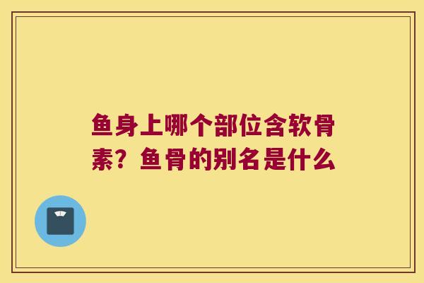 鱼身上哪个部位含软骨素？鱼骨的别名是什么