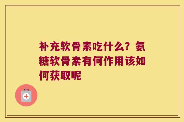补充软骨素吃什么？氨糖软骨素有何作用该如何获取呢