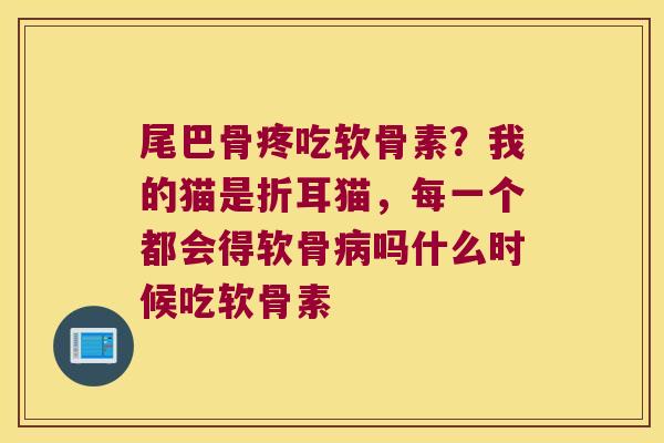 尾巴骨疼吃软骨素？我的猫是折耳猫，每一个都会得软骨吗什么时候吃软骨素