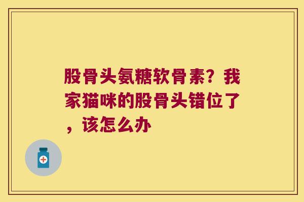 股骨头氨糖软骨素?我家猫咪的股骨头错位了,该怎么办 股骨头氨糖软骨素?我家猫咪的股骨头错位了,该怎么办