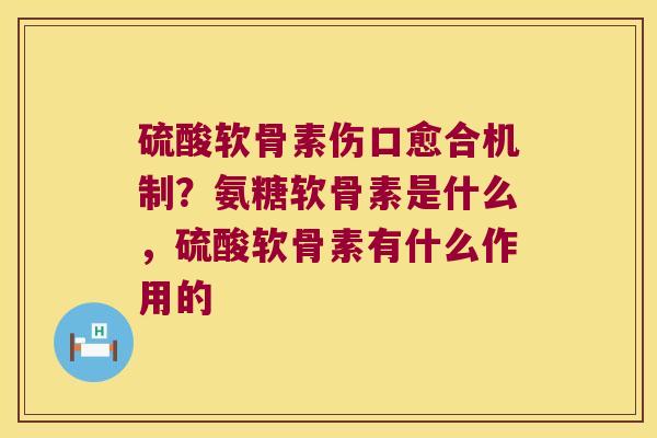 硫酸软骨素伤口愈合机制？氨糖软骨素是什么，硫酸软骨素有什么作用的