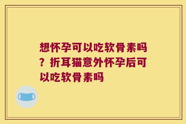 想怀孕可以吃软骨素吗？折耳猫意外怀孕后可以吃软骨素吗