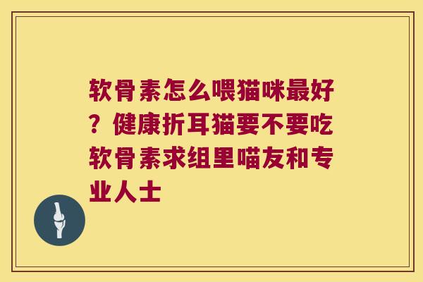 软骨素怎么喂猫咪好？健康折耳猫要不要吃软骨素求组里喵友和专业人士