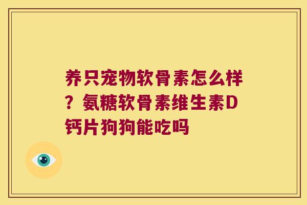 养只宠物软骨素怎么样？氨糖软骨素维生素D钙片狗狗能吃吗