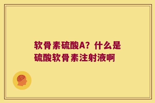 软骨素硫酸A?什么是硫酸软骨素注射液啊 软骨素硫酸A?什么是硫酸软骨素注射液啊