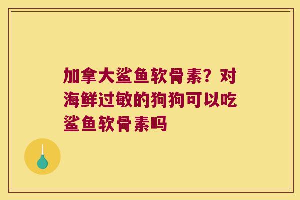 加拿大鲨鱼软骨素?对海鲜的狗狗可以吃鲨鱼软骨素吗 加拿大鲨鱼软骨素?对海鲜的狗狗可以吃鲨鱼软骨素吗