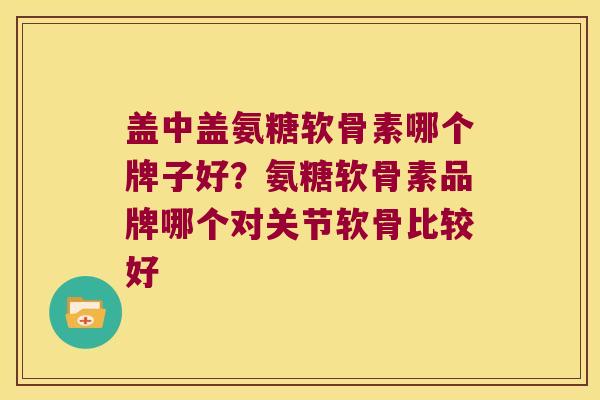 盖中盖氨糖软骨素哪个牌子好？氨糖软骨素品牌哪个对关节软骨比较好