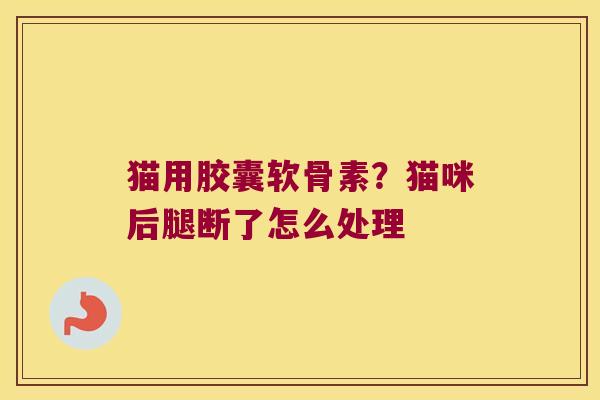 猫用胶囊软骨素？猫咪后腿断了怎么处理