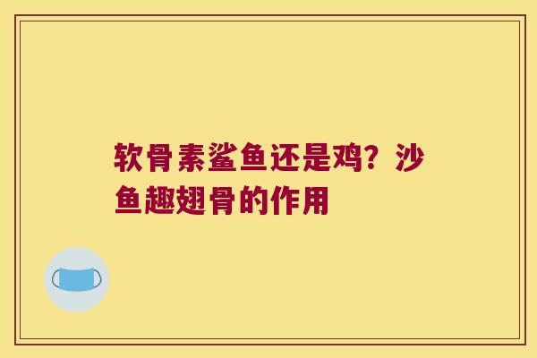 软骨素鲨鱼还是鸡?沙鱼趣翅骨的作用 软骨素鲨鱼还是鸡?沙鱼趣翅骨的作用