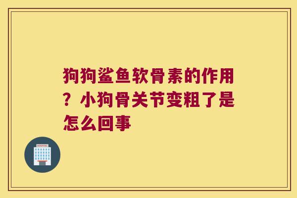 狗狗鲨鱼软骨素的作用?小狗骨关节变粗了是怎么回事 狗狗鲨鱼软骨素的作用?小狗骨关节变粗了是怎么回事