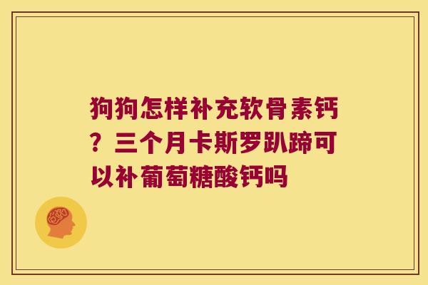 狗狗怎样补充软骨素钙？三个月卡斯罗趴蹄可以补葡萄糖酸钙吗