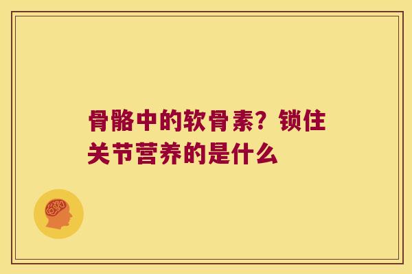 骨骼中的软骨素?锁住关节营养的是什么 骨骼中的软骨素?锁住关节营养的是什么
