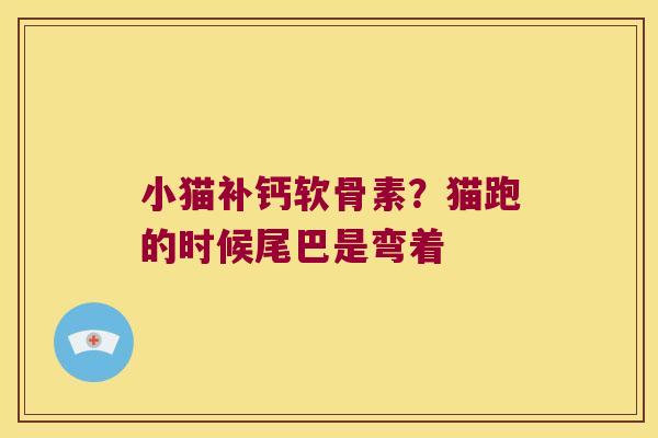 小猫补钙软骨素?猫跑的时候尾巴是弯着 小猫补钙软骨素?猫跑的时候尾巴是弯着