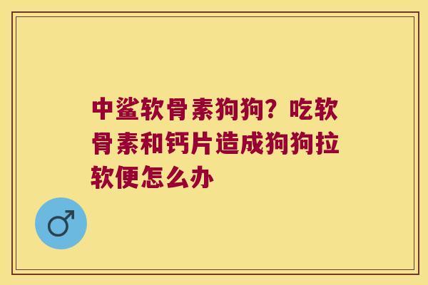 中鲨软骨素狗狗?吃软骨素和钙片造成狗狗拉软便怎么办 中鲨软骨素狗狗?吃软骨素和钙片造成狗狗拉软便怎么办