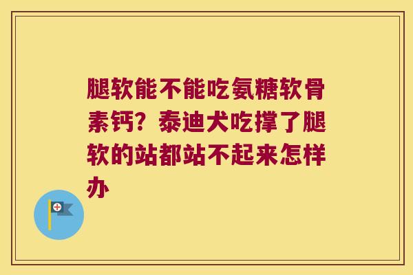 腿软能不能吃氨糖软骨素钙？泰迪犬吃撑了腿软的站都站不起来怎样办