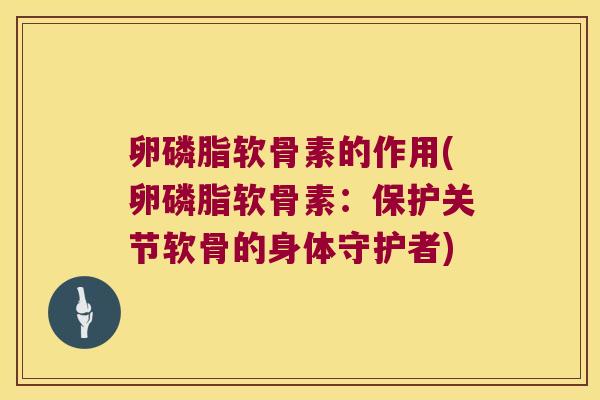 卵磷脂软骨素的作用(卵磷脂软骨素：保护关节软骨的身体守护者)
