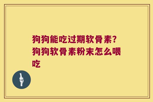 狗狗能吃过期软骨素?狗狗软骨素粉末怎么喂吃 狗狗能吃过期软骨素?狗狗软骨素粉末怎么喂吃