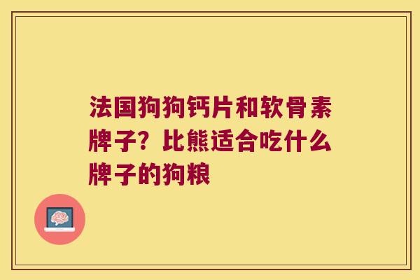 法国狗狗钙片和软骨素牌子？比熊适合吃什么牌子的狗粮