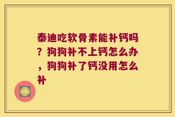 泰迪吃软骨素能补钙吗?狗狗补不上钙怎么办,狗狗补了钙没用怎么补 泰迪吃软骨素能补钙吗?狗狗补不上钙怎么办,狗狗补了钙没用怎么补