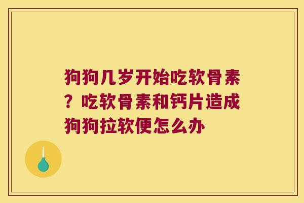 狗狗几岁开始吃软骨素？吃软骨素和钙片造成狗狗拉软便怎么办