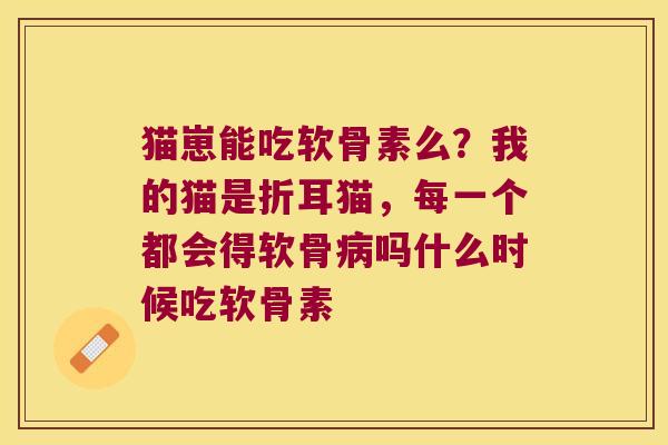 猫崽能吃软骨素么？我的猫是折耳猫，每一个都会得软骨吗什么时候吃软骨素