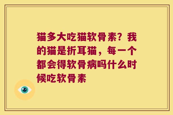 猫多大吃猫软骨素？我的猫是折耳猫，每一个都会得软骨吗什么时候吃软骨素