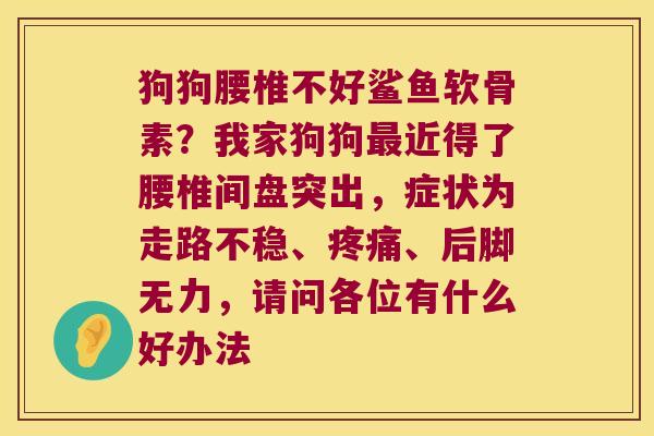 狗狗腰椎不好鲨鱼软骨素？我家狗狗近得了腰椎间盘突出，症状为走路不稳、、后脚无力，请问各位有什么好办法