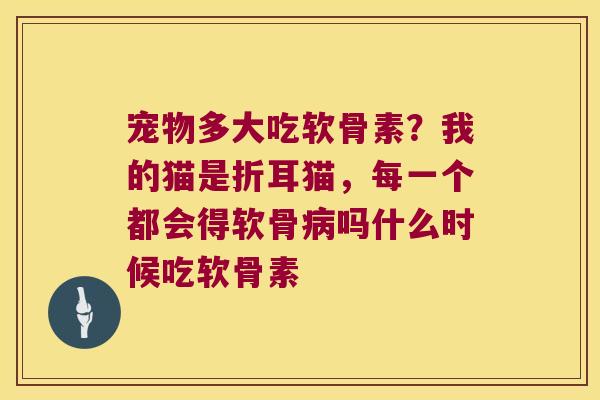 宠物多大吃软骨素?我的猫是折耳猫,每一个都会得软骨吗什么时候吃软骨素 宠物多大吃软骨素?我的猫是折耳猫,每一个都会得软骨吗什么时候吃软骨素