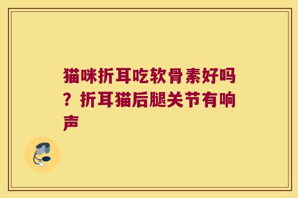 猫咪折耳吃软骨素好吗?折耳猫后腿关节有响声 猫咪折耳吃软骨素好吗?折耳猫后腿关节有响声