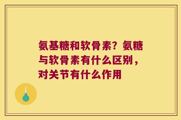 氨基糖和软骨素?氨糖与软骨素有什么区别,对关节有什么作用 氨基糖和软骨素?氨糖与软骨素有什么区别,对关节有什么作用