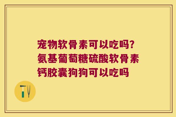 宠物软骨素可以吃吗?氨基葡萄糖硫酸软骨素钙胶囊狗狗可以吃吗 宠物软骨素可以吃吗?氨基葡萄糖硫酸软骨素钙胶囊狗狗可以吃吗