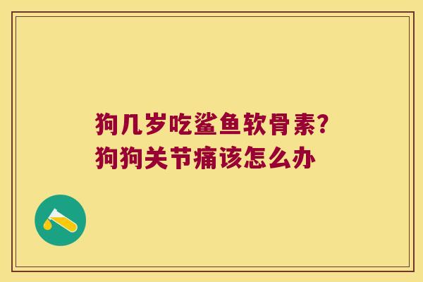 狗几岁吃鲨鱼软骨素?狗狗关节痛该怎么办 狗几岁吃鲨鱼软骨素?狗狗关节痛该怎么办