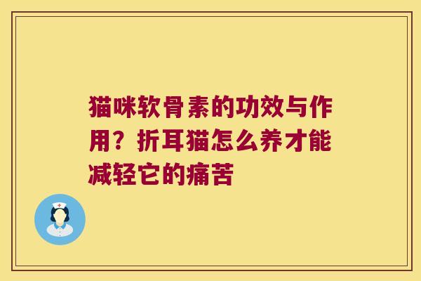 猫咪软骨素的功效与作用?折耳猫怎么养才能减轻它的痛苦 猫咪软骨素的功效与作用?折耳猫怎么养才能减轻它的痛苦