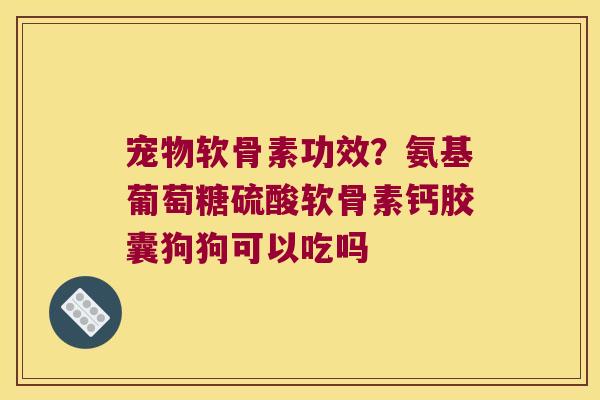 宠物软骨素功效？氨基葡萄糖硫酸软骨素钙胶囊狗狗可以吃吗